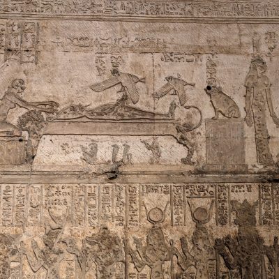 PXL_20241015_075026003.MP